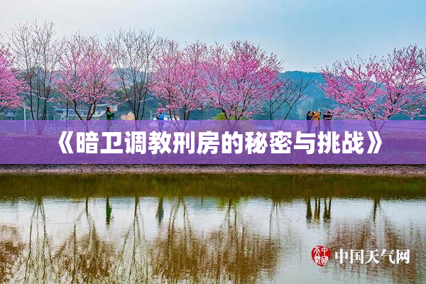 《暗卫调教刑房的秘密与挑战》