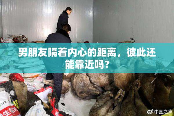 男朋友隔着内心的距离，彼此还能靠近吗？