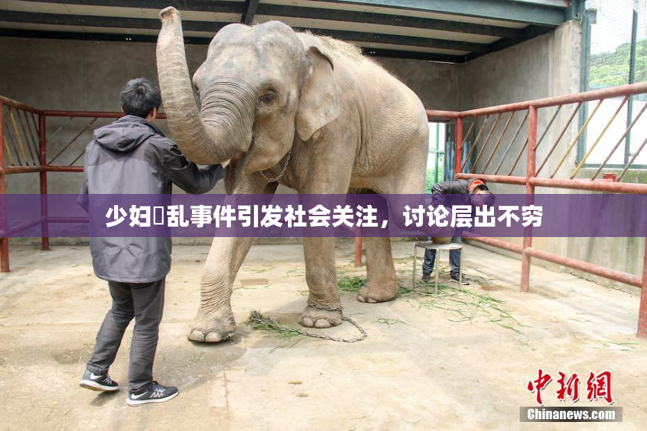 少妇婬乱事件引发社会关注，讨论层出不穷