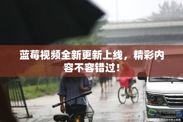 蓝莓视频全新更新上线，精彩内容不容错过！