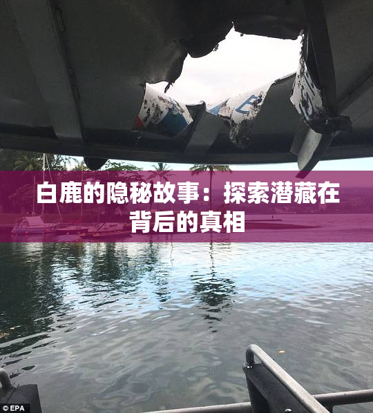 白鹿的隐秘故事：探索潜藏在背后的真相