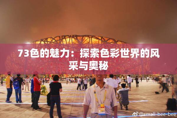 73色的魅力：探索色彩世界的风采与奥秘