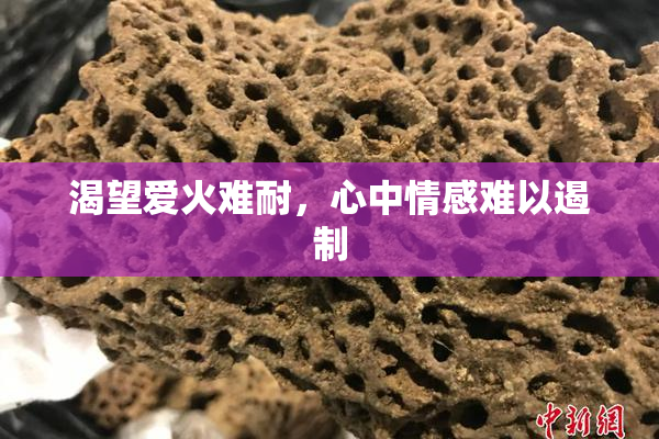 渴望爱火难耐，心中情感难以遏制