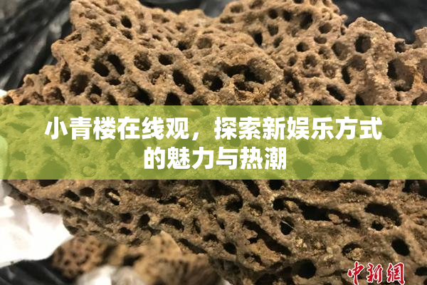 小青楼在线观，探索新娱乐方式的魅力与热潮