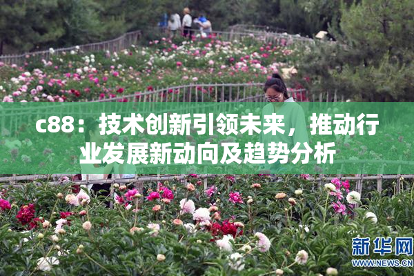 c88：技术创新引领未来，推动行业发展新动向及趋势分析