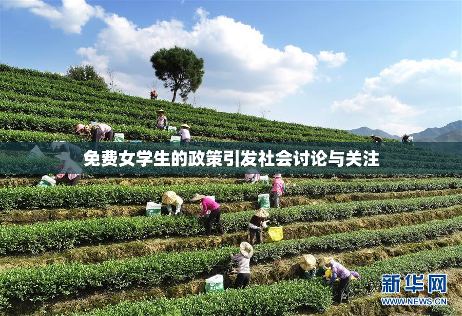 免费女学生的政策引发社会讨论与关注