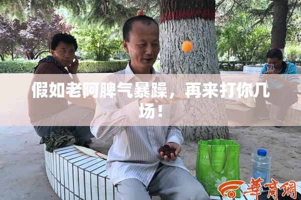 假如老阿脾气暴躁，再来打你几场！