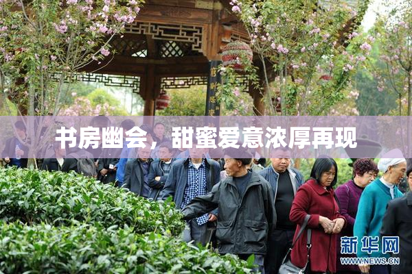 书房幽会，甜蜜爱意浓厚再现
