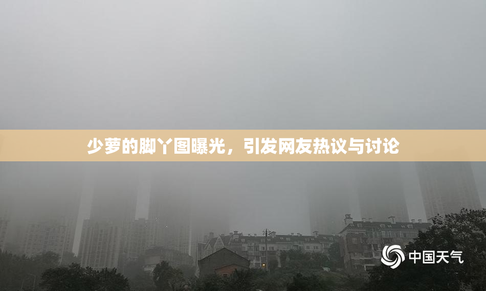 少萝的脚丫图曝光，引发网友热议与讨论