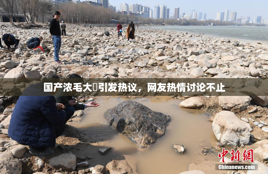 国产浓毛大泬引发热议，网友热情讨论不止