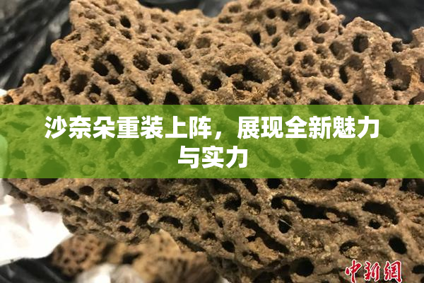 沙奈朵重装上阵，展现全新魅力与实力