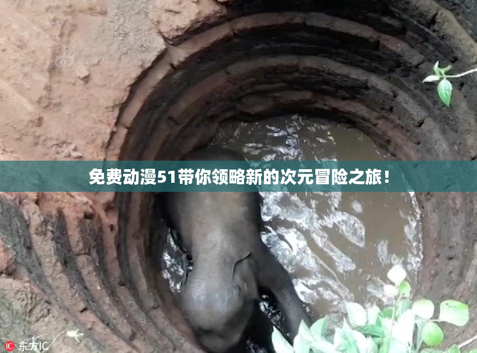 免费动漫51带你领略新的次元冒险之旅！