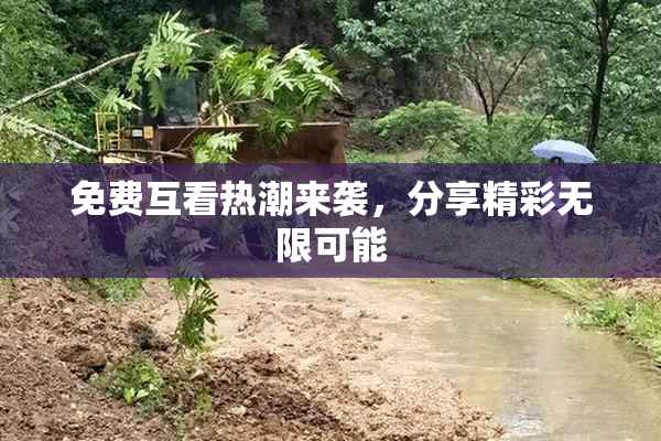 免费互看热潮来袭，分享精彩无限可能