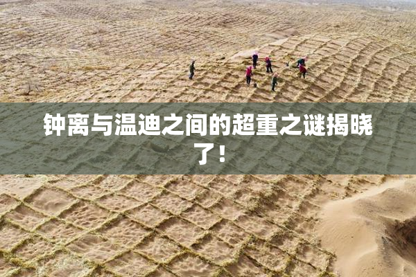 钟离与温迪之间的超重之谜揭晓了！