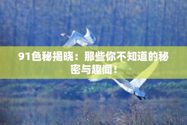 91色秘揭晓：那些你不知道的秘密与趣闻！