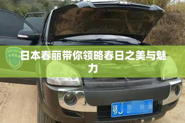 日本春丽带你领略春日之美与魅力