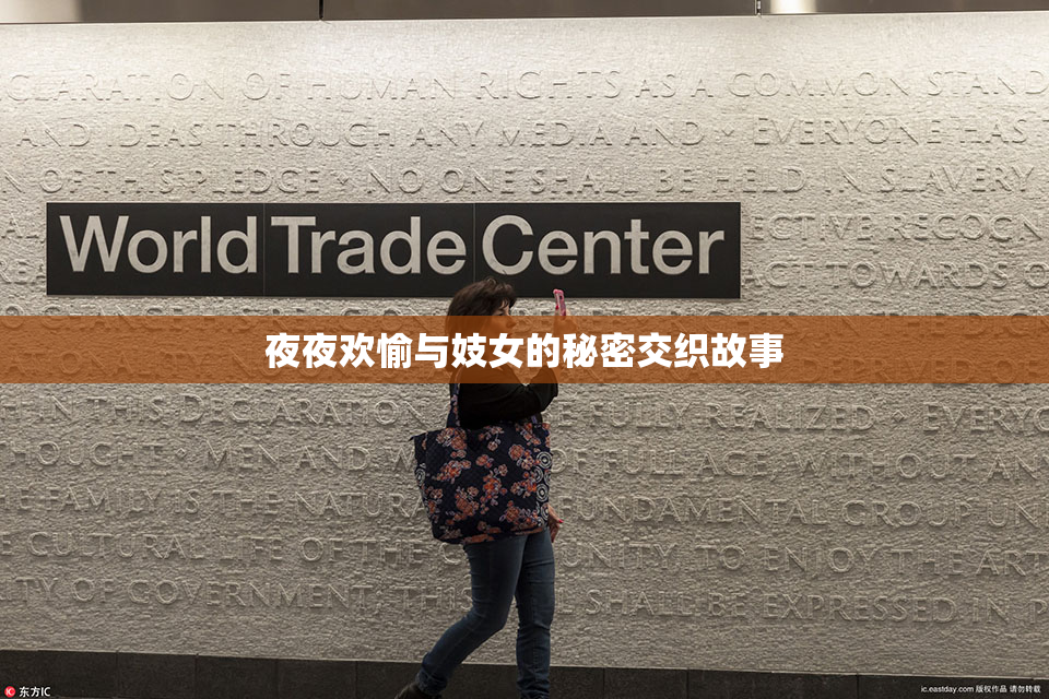 夜夜欢愉与妓女的秘密交织故事