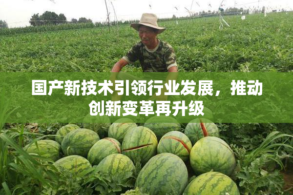 国产新技术引领行业发展，推动创新变革再升级