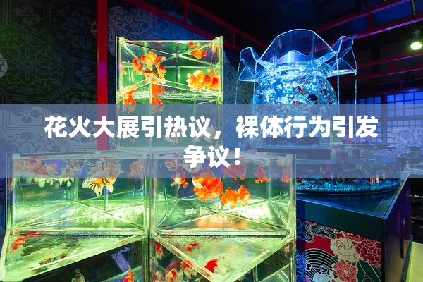 花火大展引热议，裸体行为引发争议！