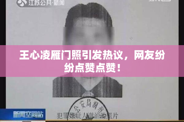 王心凌雁门照引发热议，网友纷纷点赞点赞！