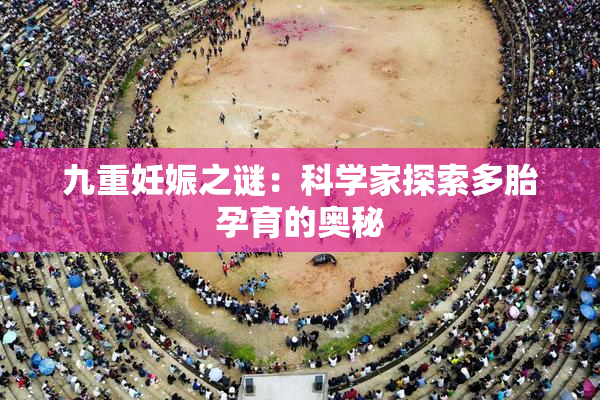 九重妊娠之谜：科学家探索多胎孕育的奥秘