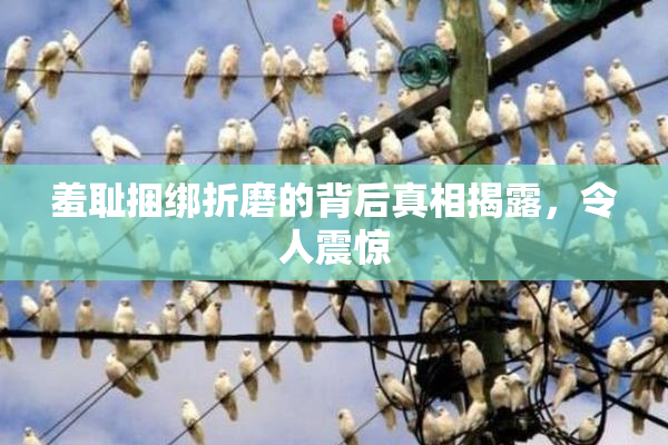 羞耻捆绑折磨的背后真相揭露，令人震惊