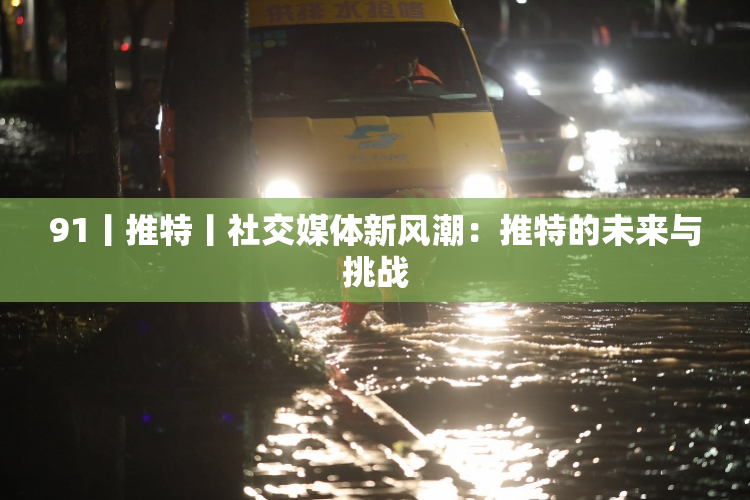 91丨推特丨社交媒体新风潮：推特的未来与挑战