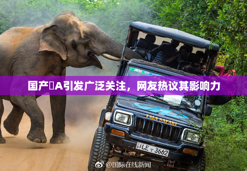 国产婬A引发广泛关注，网友热议其影响力