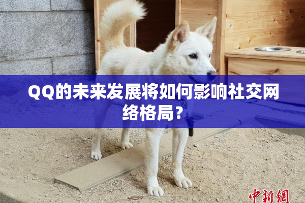 QQ的未来发展将如何影响社交网络格局？
