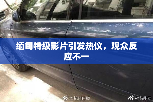缅甸特级影片引发热议，观众反应不一