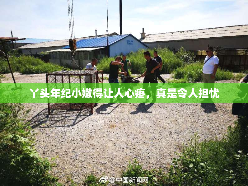 丫头年纪小嫩得让人心疼，真是令人担忧