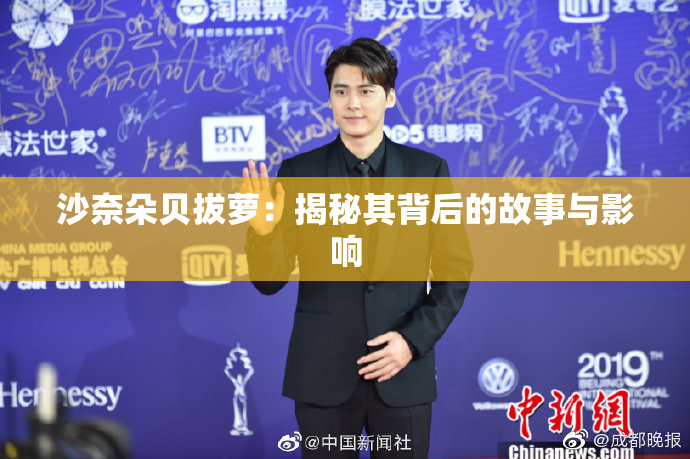 沙奈朵贝拔萝：揭秘其背后的故事与影响