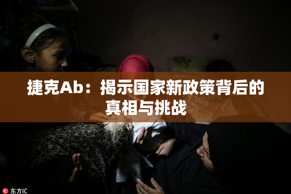 捷克Ab：揭示国家新政策背后的真相与挑战