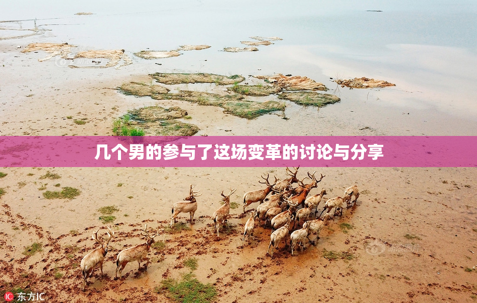 几个男的参与了这场变革的讨论与分享
