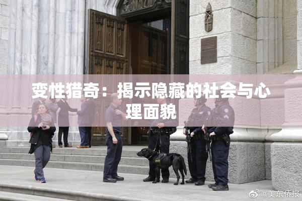 变性猎奇：揭示隐藏的社会与心理面貌