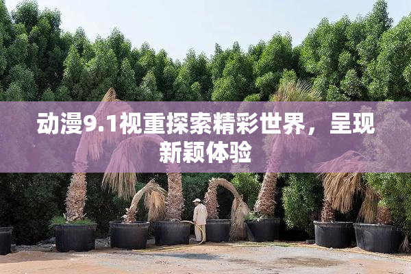 动漫9.1视重探索精彩世界，呈现新颖体验