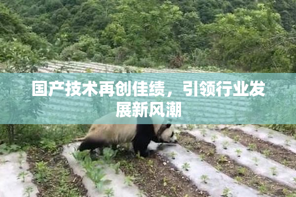 国产技术再创佳绩，引领行业发展新风潮