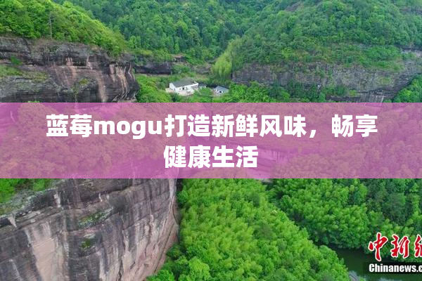蓝莓mogu打造新鲜风味，畅享健康生活