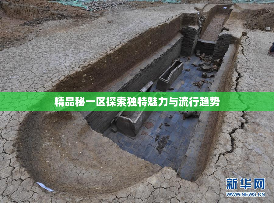 精品秘一区探索独特魅力与流行趋势
