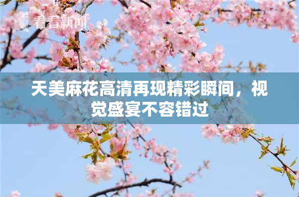 天美麻花高清再现精彩瞬间，视觉盛宴不容错过