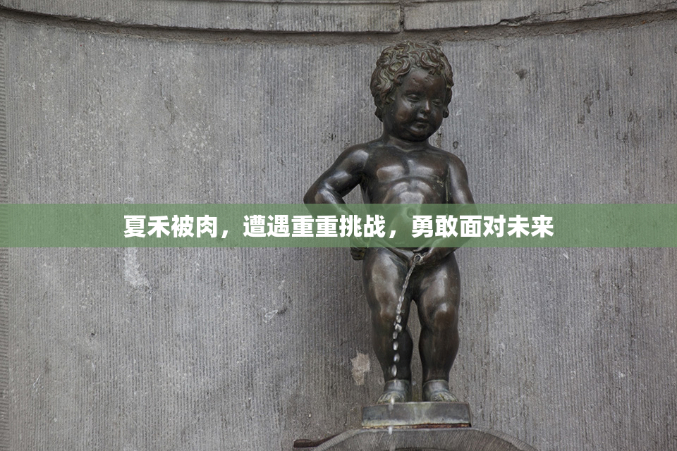 夏禾被肉，遭遇重重挑战，勇敢面对未来