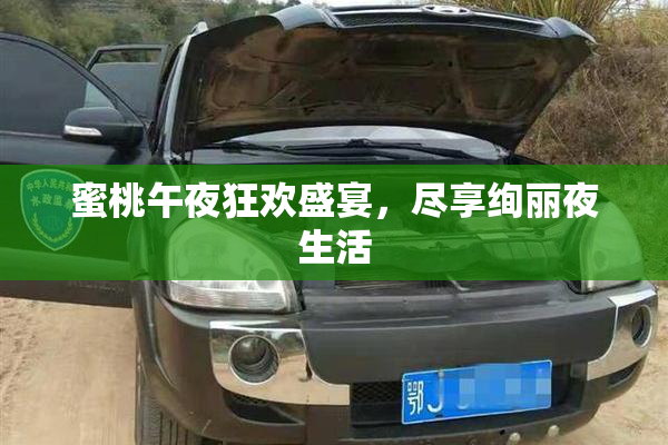 蜜桃午夜狂欢盛宴，尽享绚丽夜生活