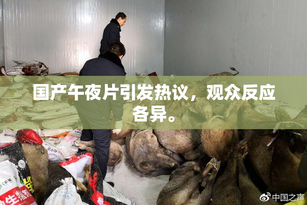 国产午夜片引发热议，观众反应各异。