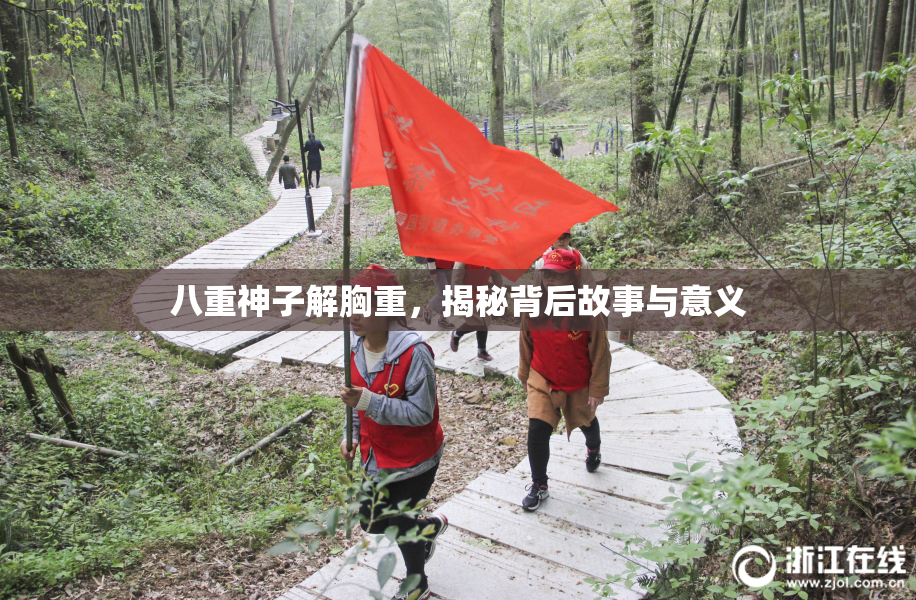 八重神子解胸重，揭秘背后故事与意义