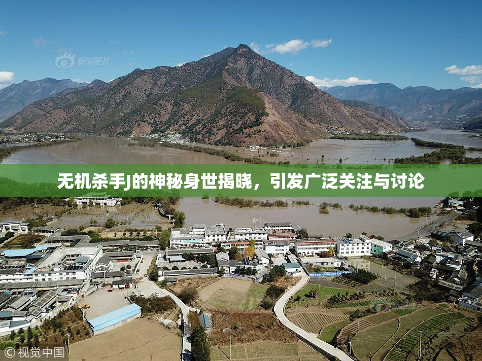 无机杀手J的神秘身世揭晓，引发广泛关注与讨论