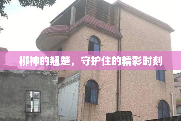 柳神的翘楚，守护住的精彩时刻