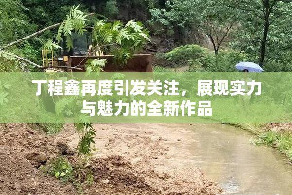 丁程鑫再度引发关注，展现实力与魅力的全新作品