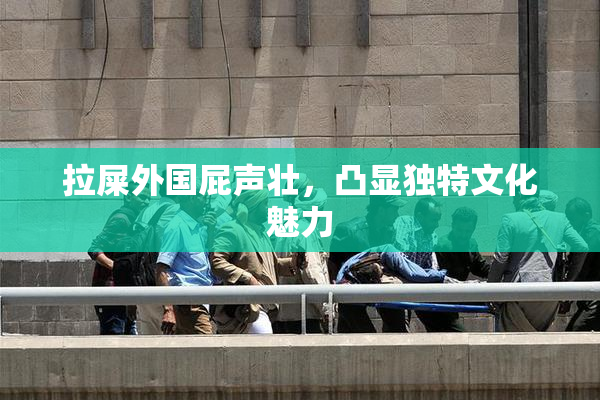 拉屎外国屁声壮，凸显独特文化魅力