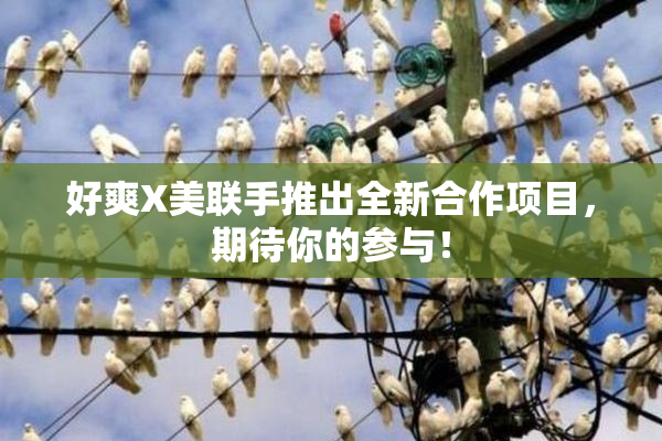 好爽X美联手推出全新合作项目，期待你的参与！