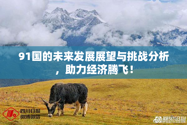 91国的未来发展展望与挑战分析，助力经济腾飞！
